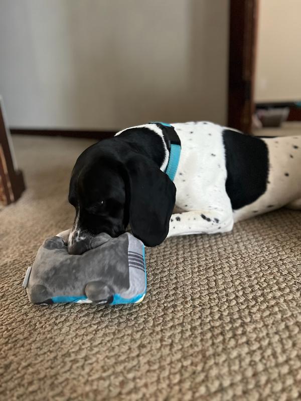 Big sis and little bro