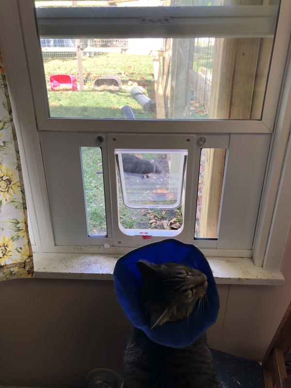 Discontinued IDEAL PET 2328 Sash Window Chubby Kat Cat Door, White