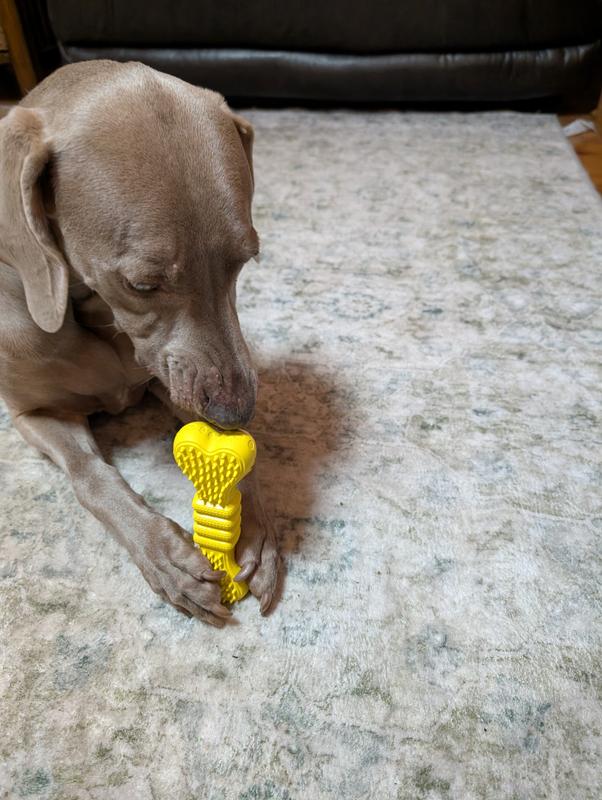 Loving his PawsPik bone