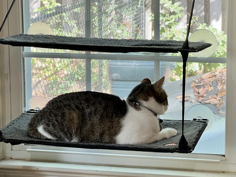 A rare calm moment, scheming, I’m sure.