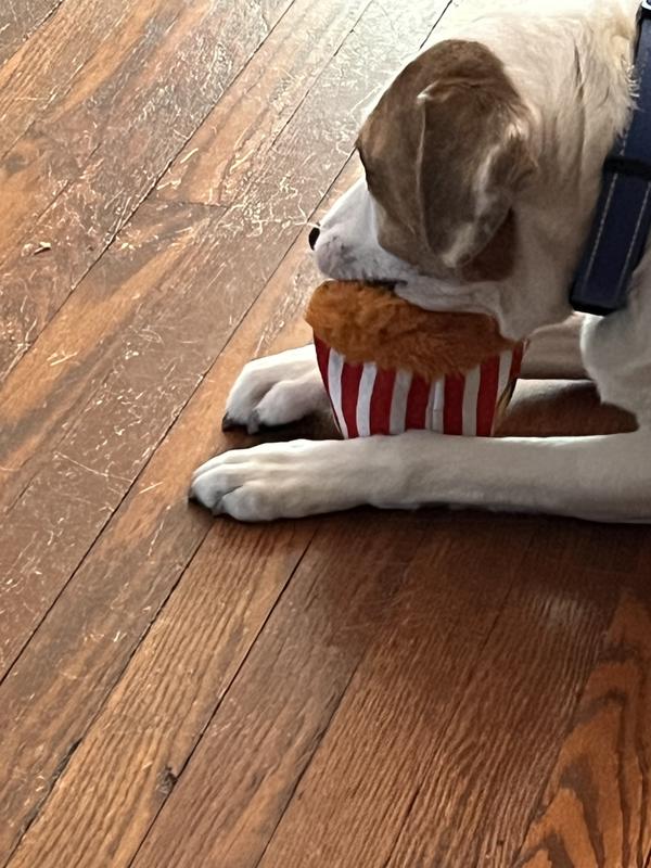 Emotional Support Popcorn