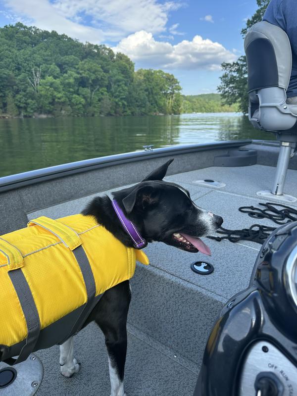 Human life outlet jacket on dog