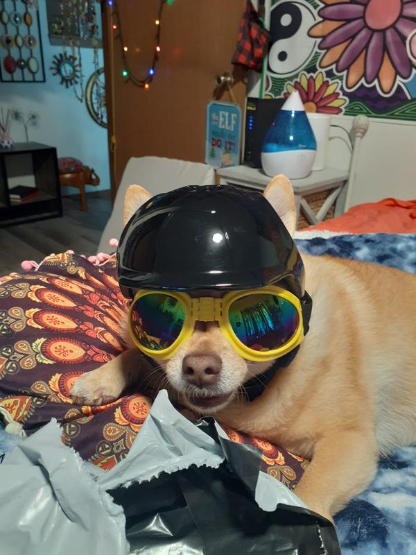 Ready for his bike ride.