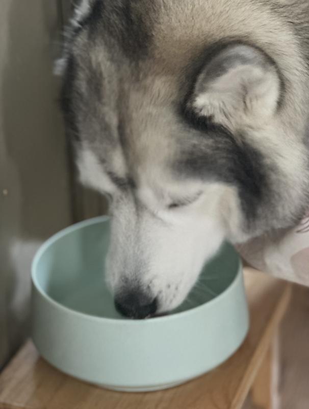 Licked the bowl clean :)