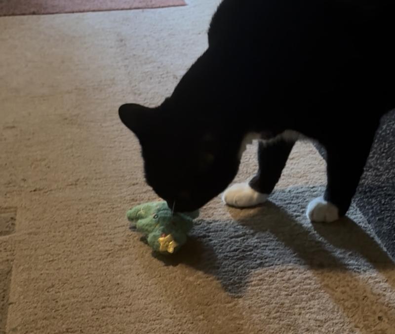 Oooh catnip.