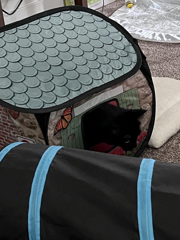 Kitty Curls Cat Toy KONG Holiday Play Spaces Gingerbread Bungalow