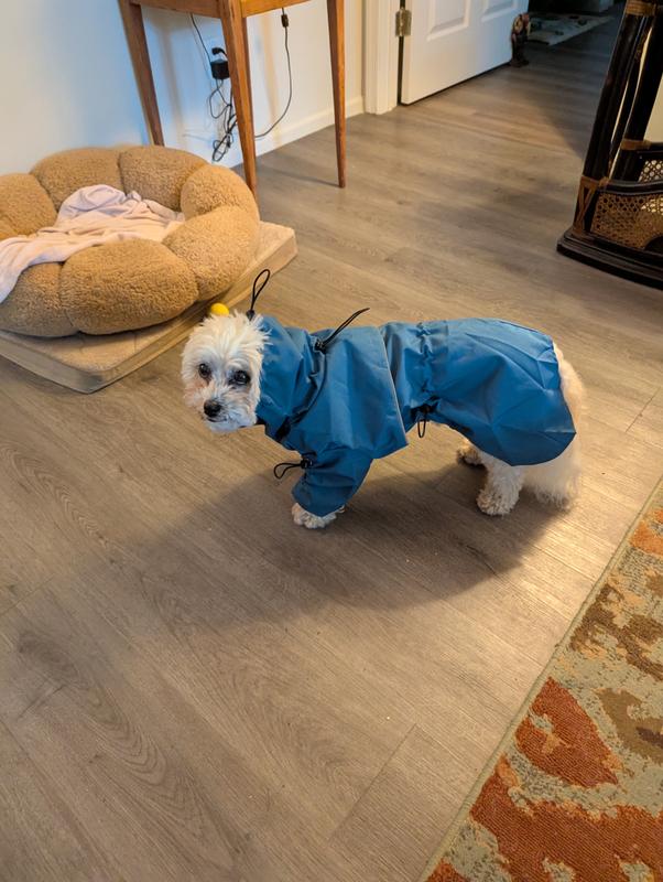 Ready for my walk in the rain