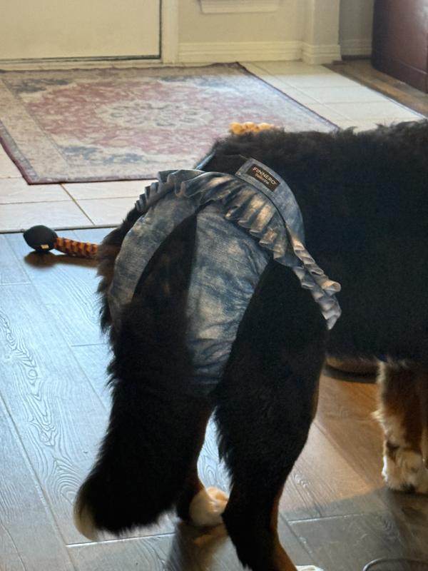 This is the blue jean version.  I actually preferred the black because it blended in with her fur.