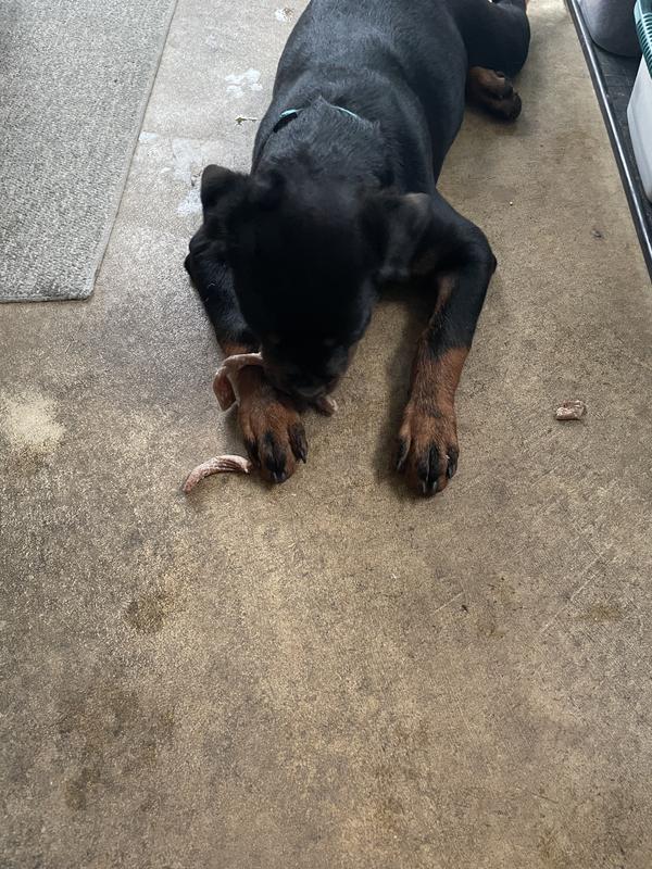 She broke it within 5 minutes.