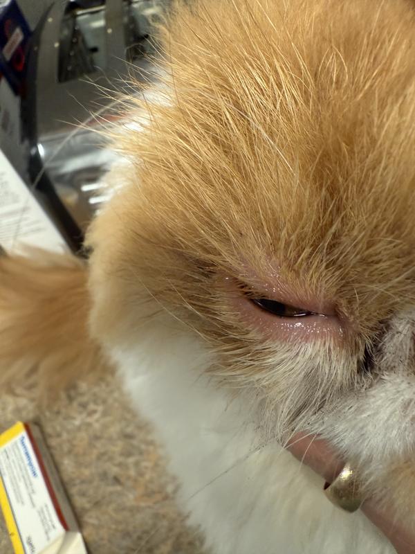 Looks one hundred percent better now!!!!