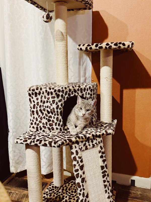 This is Gus thriving in his apartment lol