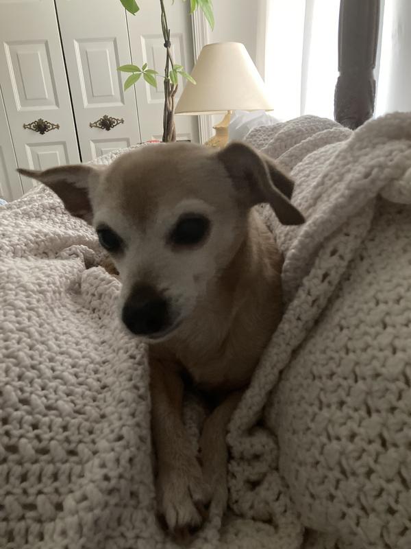 Pepper, Baby and Mr. Peanut