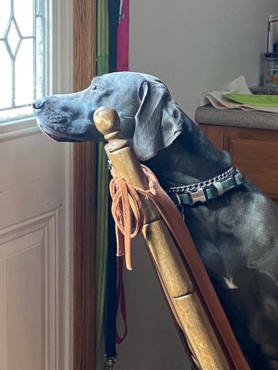 She is not usually this quiet