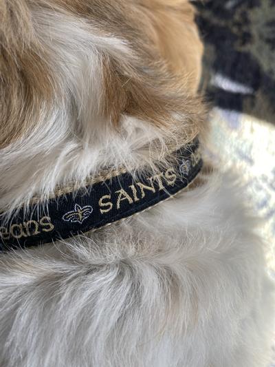 Pets First Louisville Signature Pro Collar for Dogs, Medium