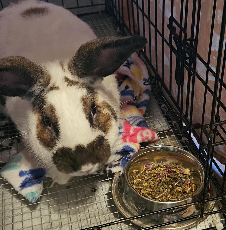 Det. Smalls wondering why I'm bothering him while he's having breakfast.