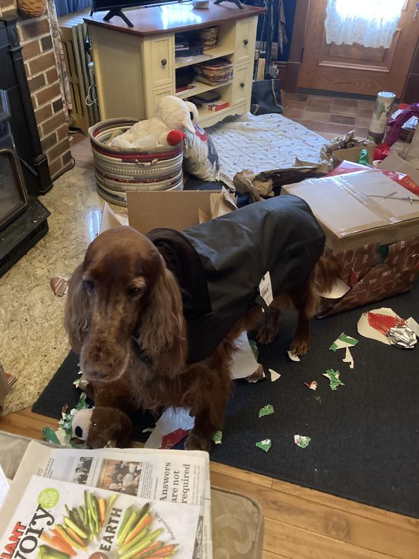 Great for keeping coat dry