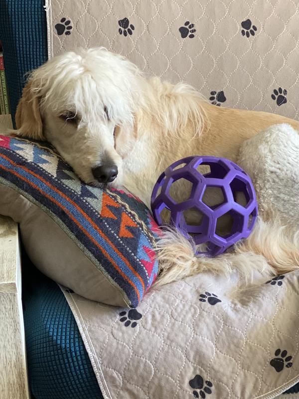 Holee Roller Small Per Cani - Giocattolo In Gomma Con Fori, Per Trattini E Masticazione, 11 Cm