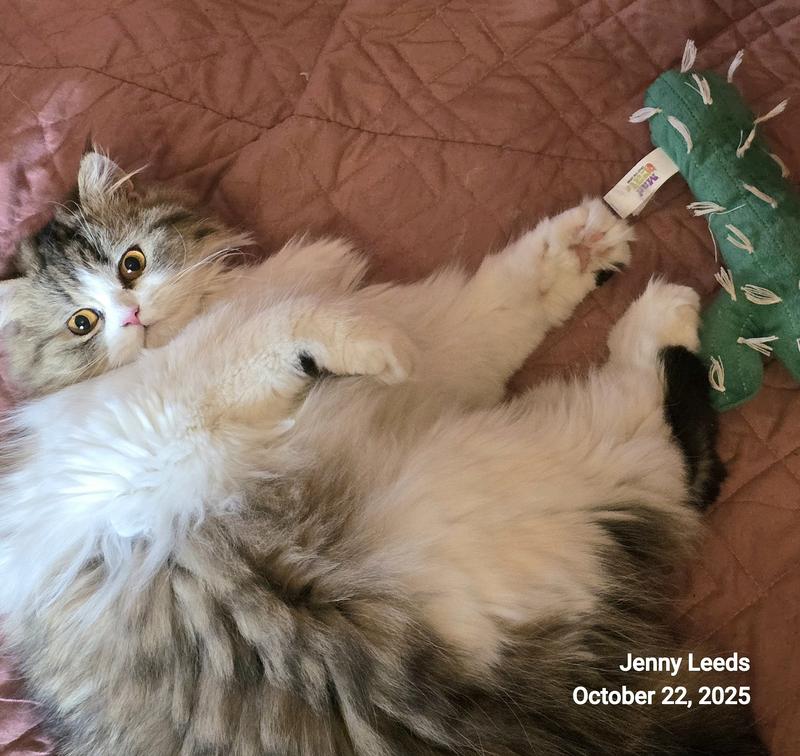 Emily & 'Cactus Man' 🌵