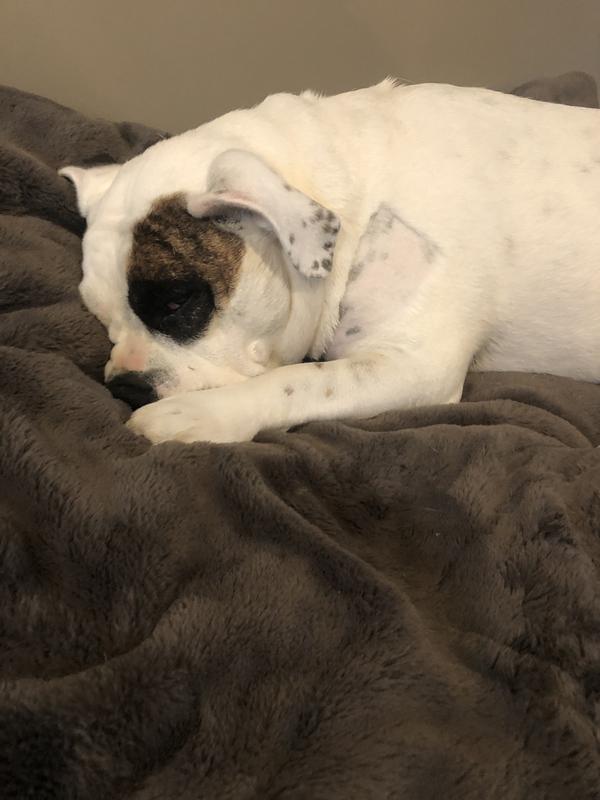 Getting tired of all the paparazzi around here