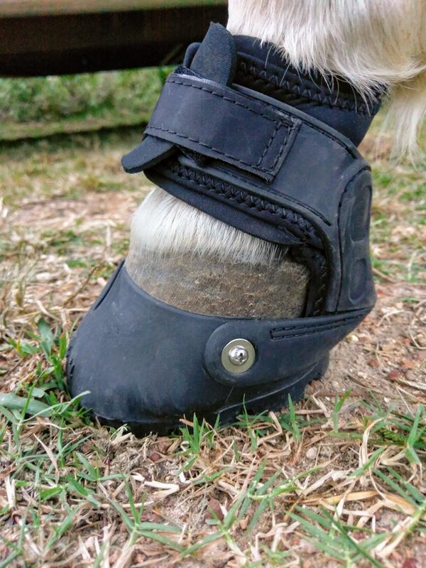 My horse rides great with them!