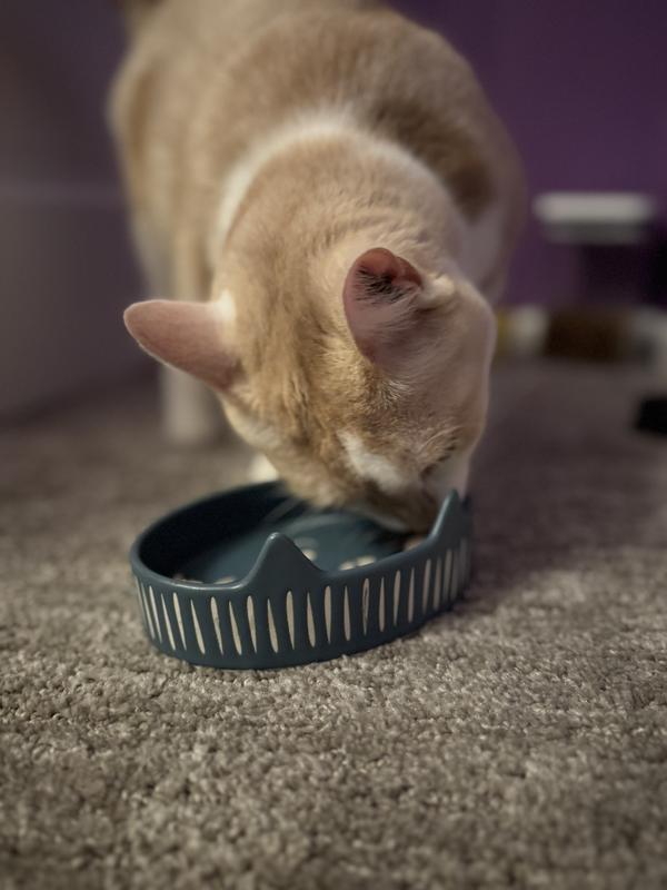 Licking a lot and moving it around the bowl.