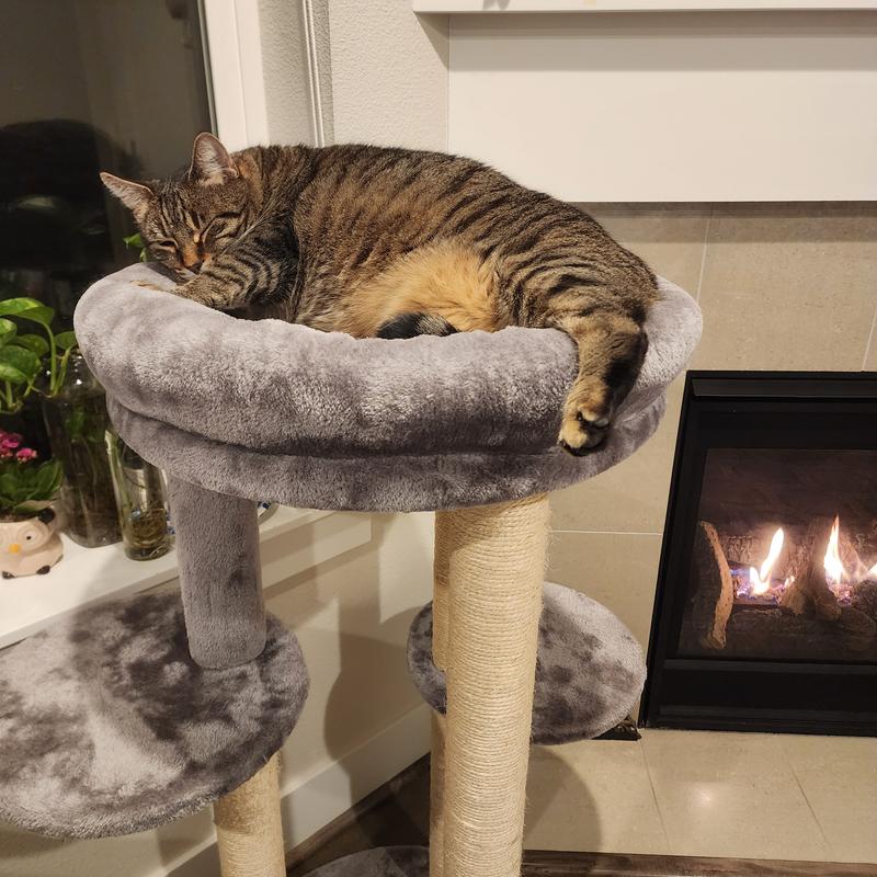 FRISCO 41-in Faux Fur Cat Tree, Dark Charcoal - Chewy.com