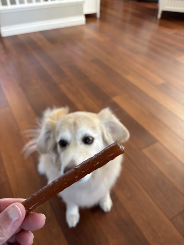 Anticipation!