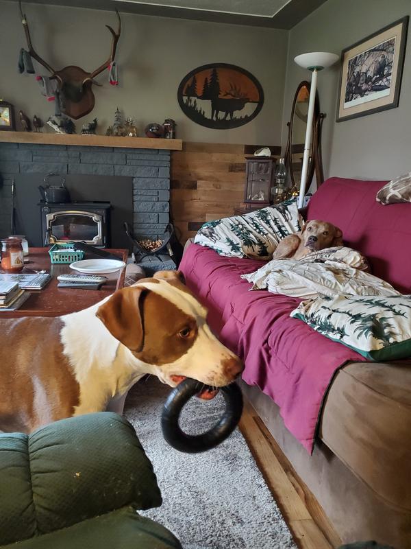 MONSTER K9 DOG TOYS UltraDurable Chew Ring Dog Toy