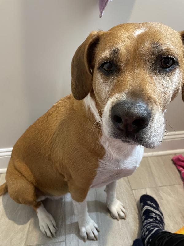 Fresh out of the bath!