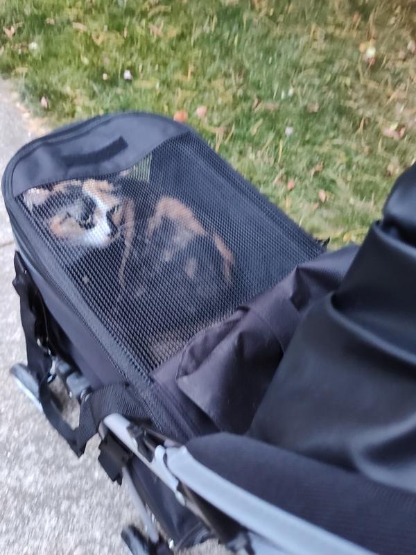 FRISCO 3 in 1 Dog & Cat Stroller with Detachable Carrier, Black