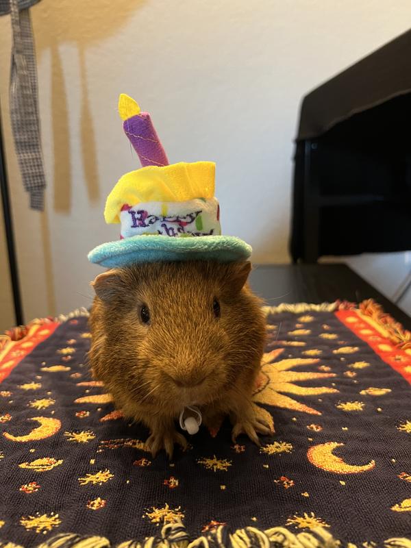 He looks so proper 😇