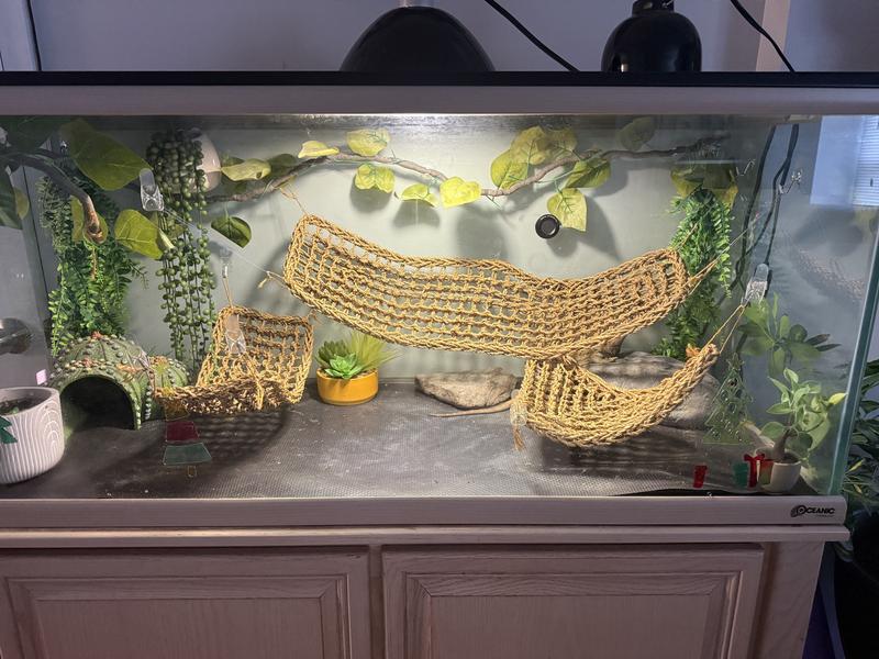 Without basking bulb