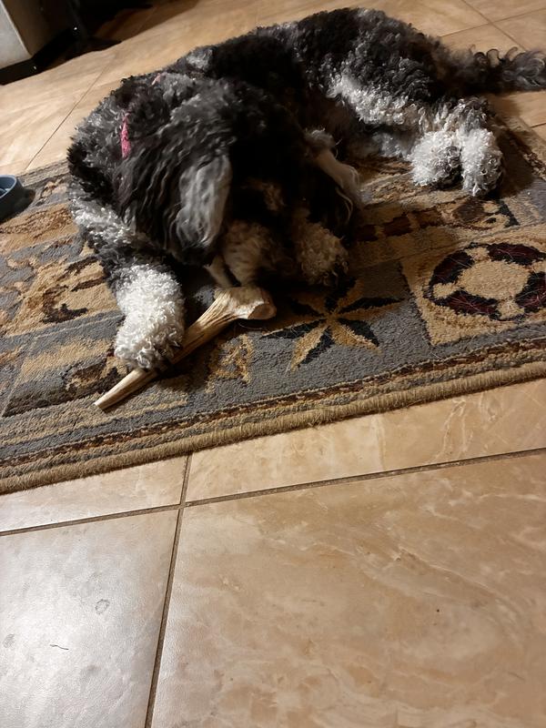 Maggie taking her turn.