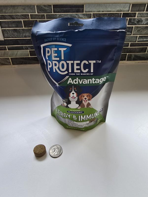 Perfect size for smaller dogs, or a pocket treat for big ones.