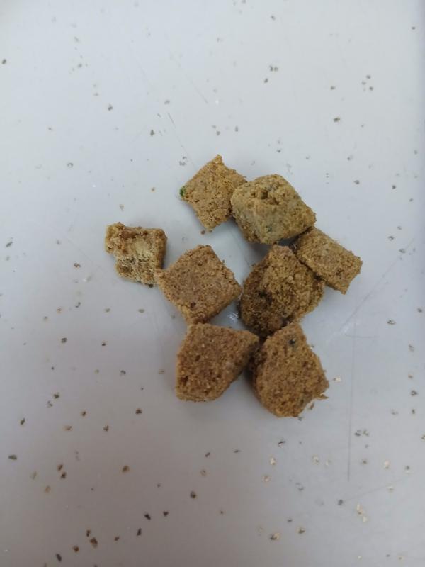 nice small / uniform nibbles of freeze dried venison diet