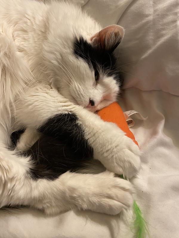 He got the feathers off but loves it just the same