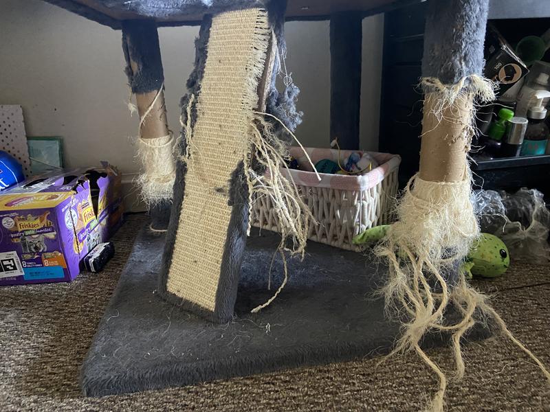 Shredded within a couple months!