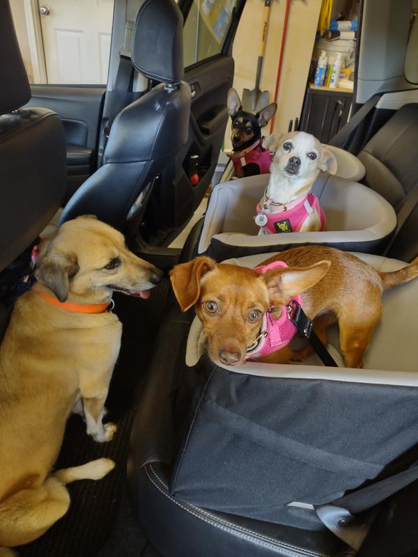 TRIXIE Dog Car Booster Seat