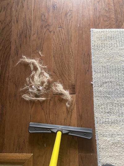 Pet Hair Removal Broom – DoggoComfy