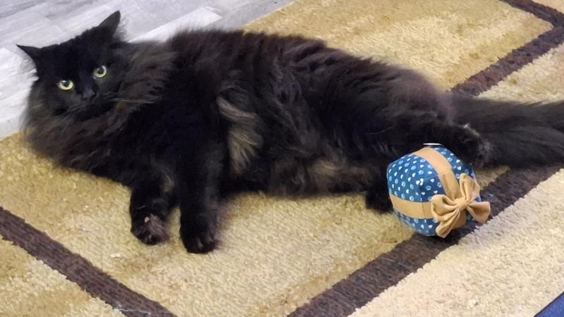 Wednesday giving it the ole razzle dazzle