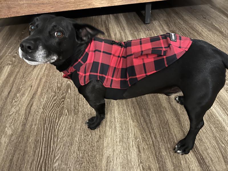 Runs small and short.