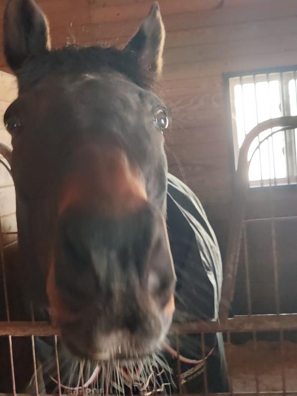 Thank you, may I have another??