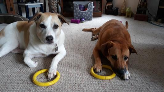 Gino and Logan love their toys