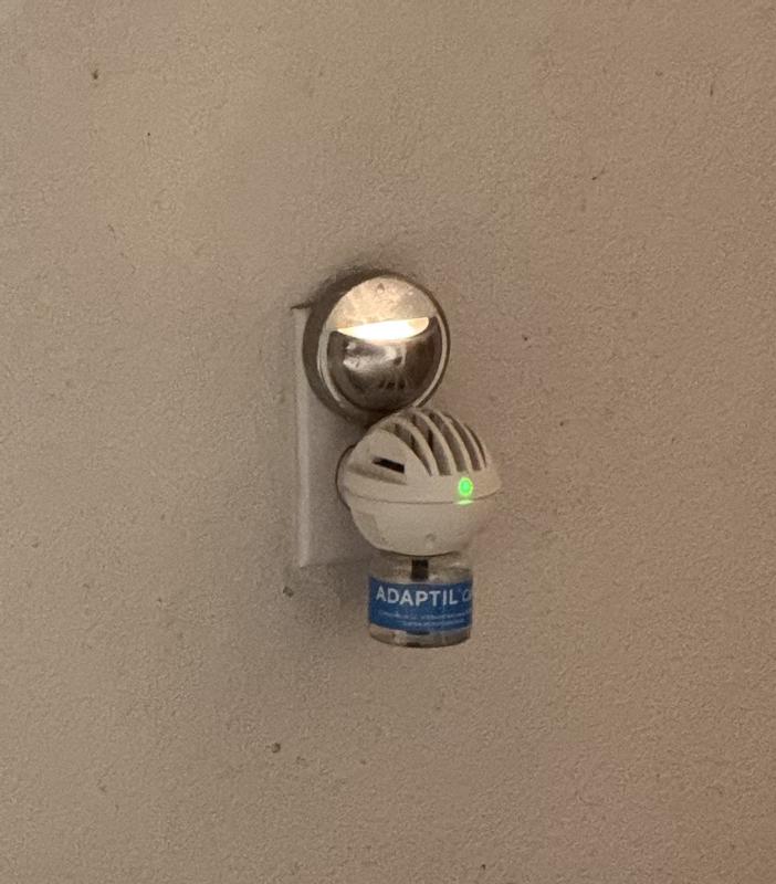 Nice Appearance & Not Too Big