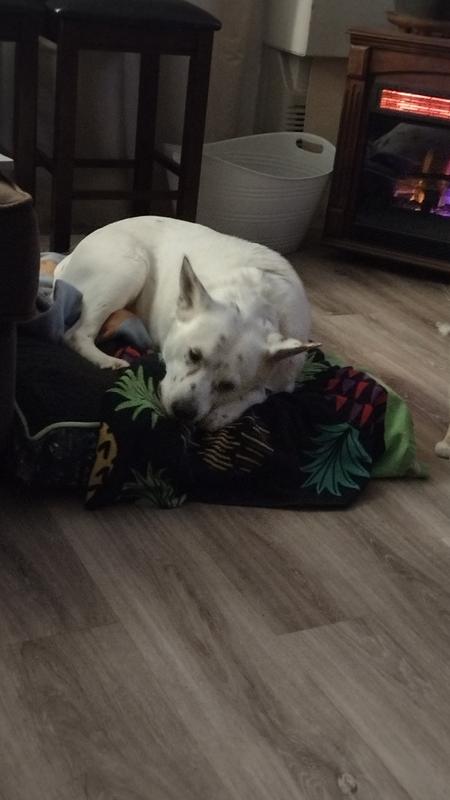 My new bed.