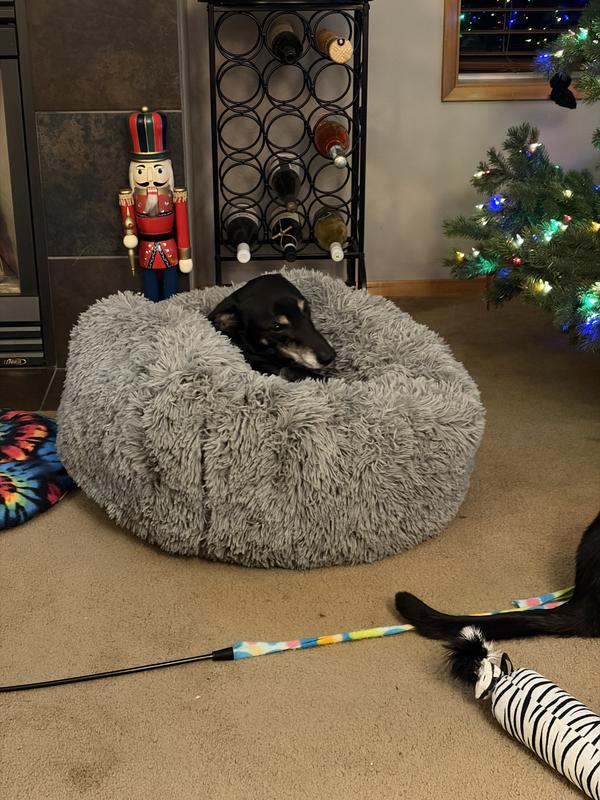 Trying it out, but can’t see out when he’s in it. Super awkward.