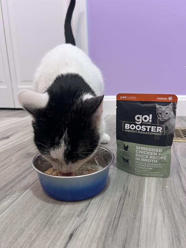 A black and white cat enjoys a bowl of Go! Solutions Booster Weight Management wet food in the flavour Shredded Chicken + Duck Recipe.  A packet of the product stands beside the bowl.