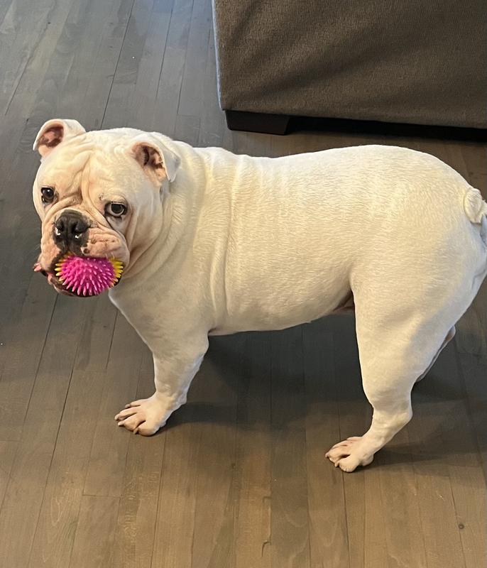 Always ready to play ball