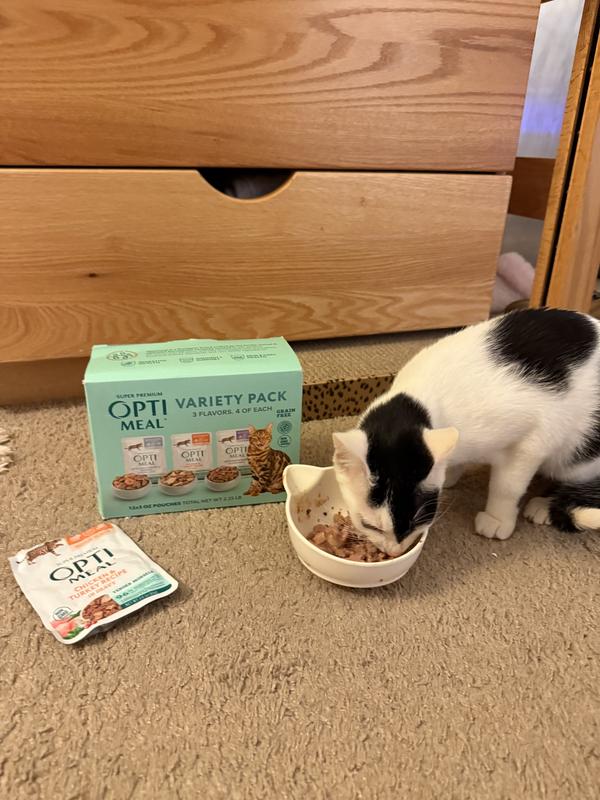 Game changer for my indoor cat’s digestion