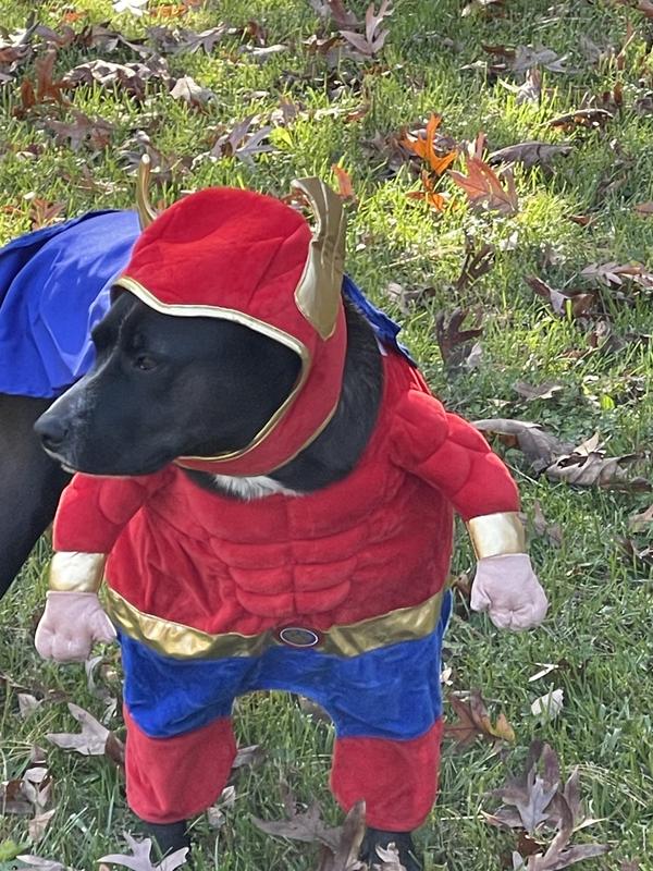 Superhero